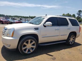  Salvage Cadillac Escalade