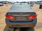 Lexus Es 350 Image 12