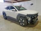 Hyundai KONA Sel Image 7