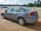 Saturn Ion Level 2 Image 4