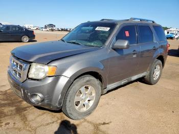  Salvage Ford Escape