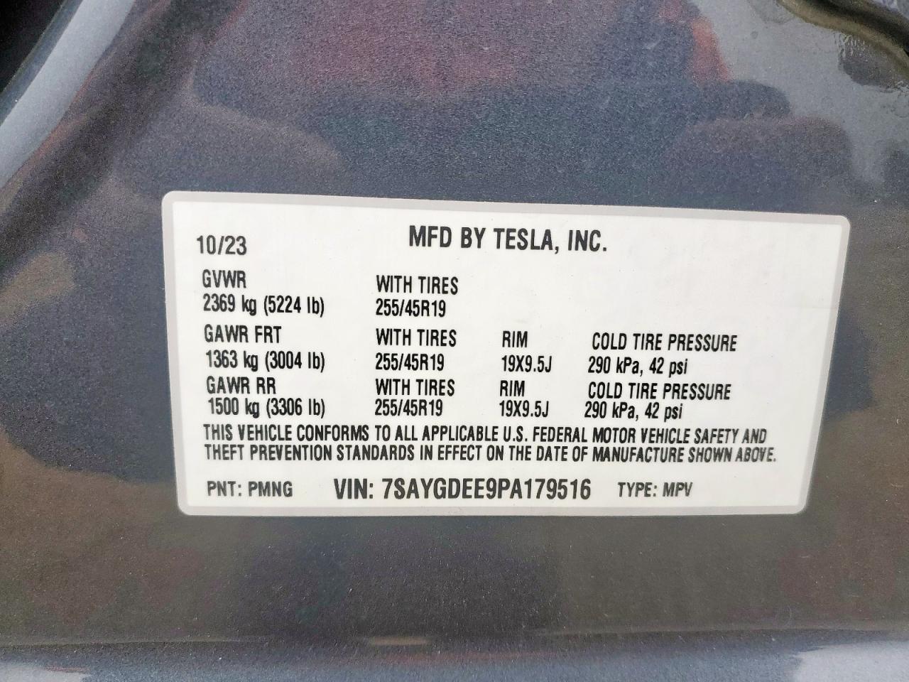 Tesla Model Y Image 12