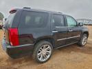 Cadillac Escalade Platinum Image 2