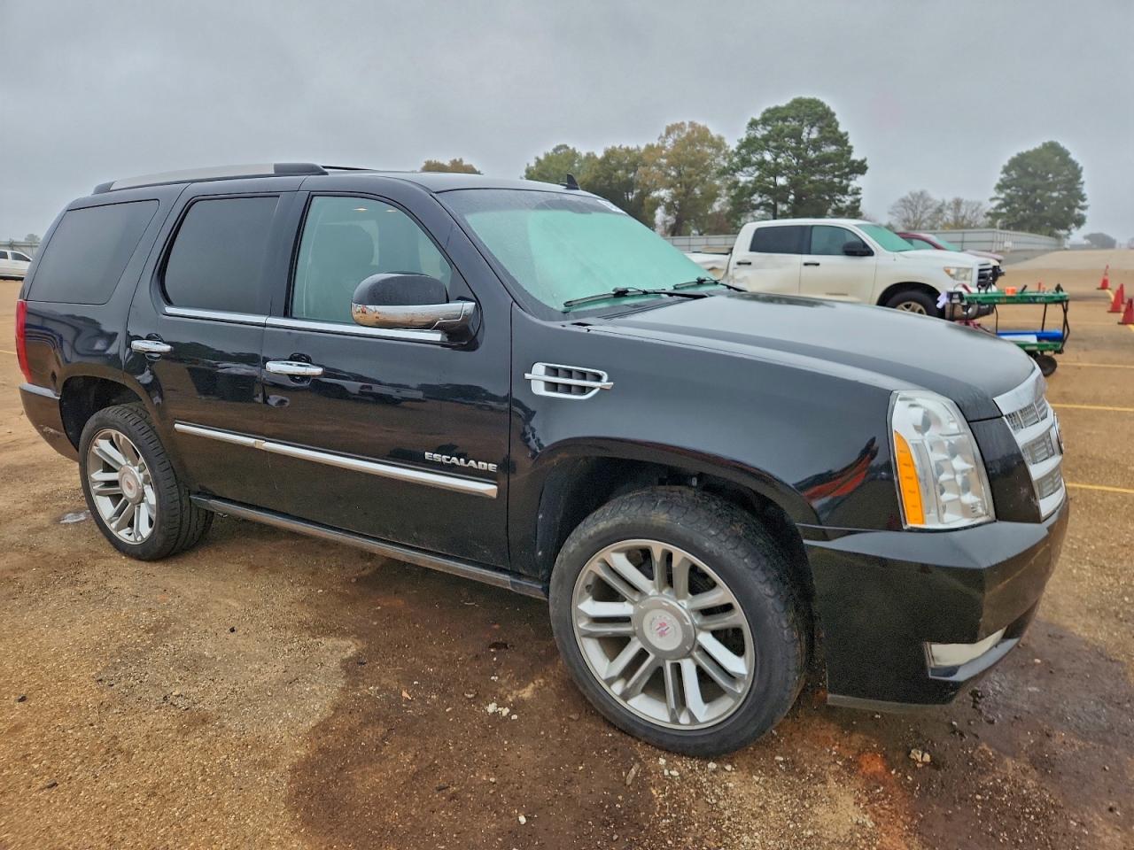 Cadillac Escalade Platinum Image 6