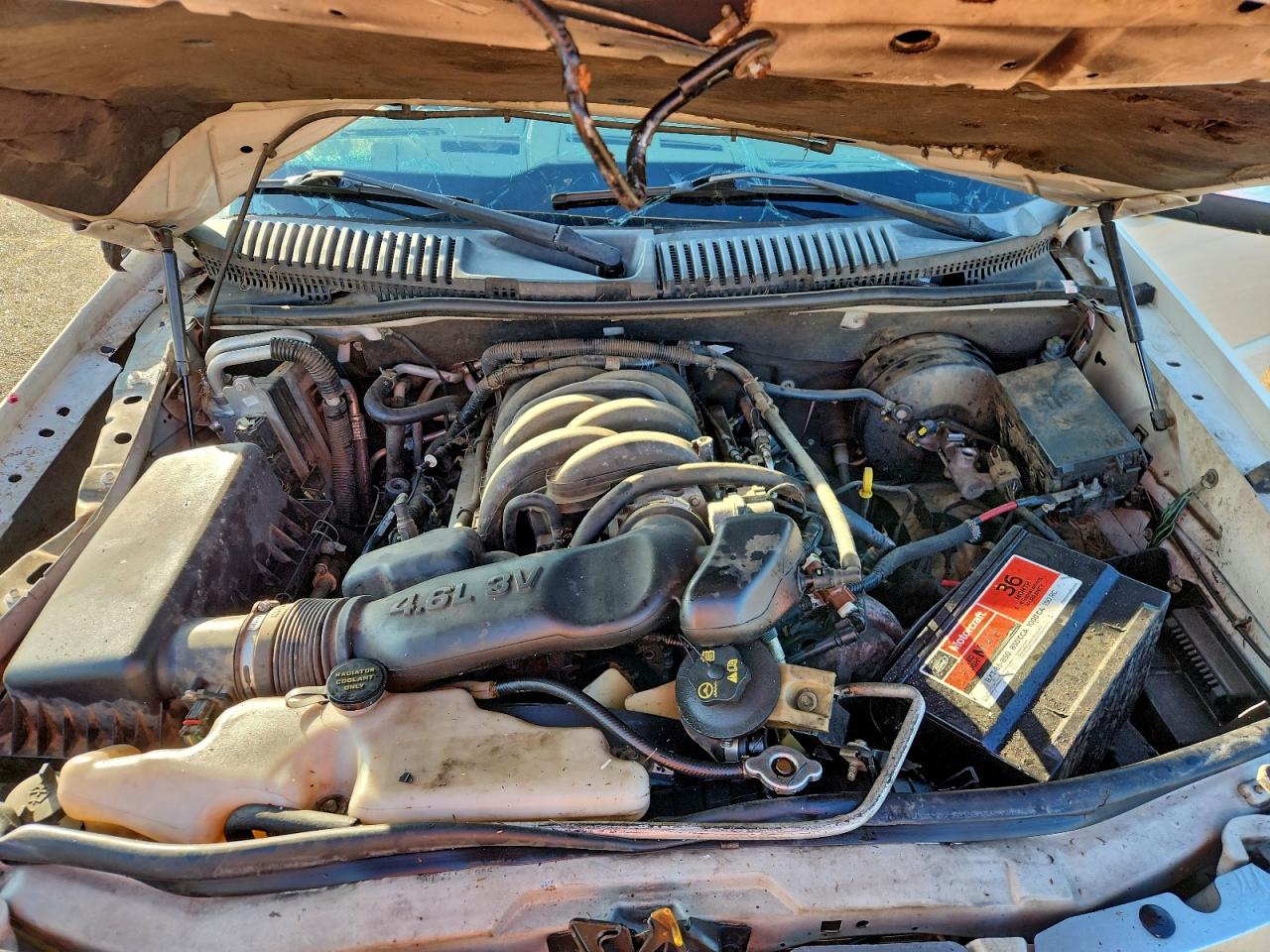 Mercury Mountainer Premier Image 10