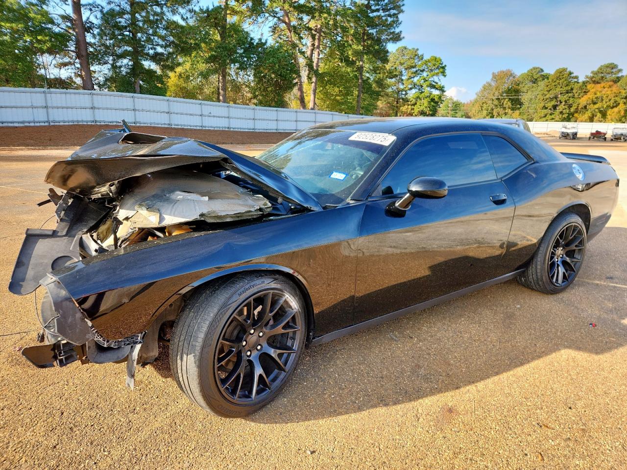 Dodge Challenger Sxt Image 1
