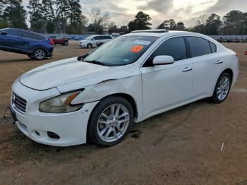  Salvage Nissan Maxima